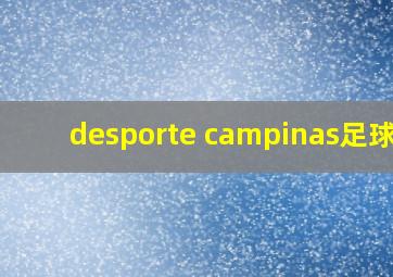 desporte campinas足球鞋